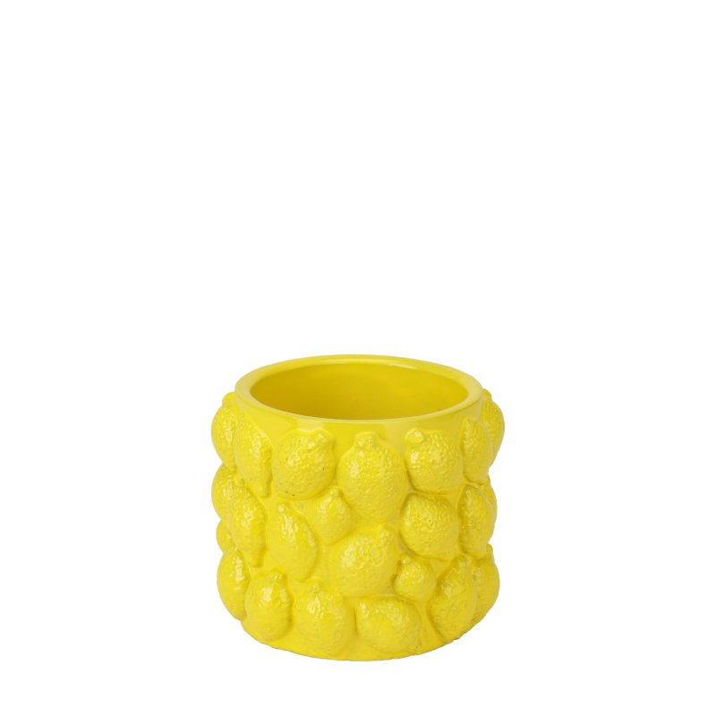 Žlutý květním váza lemon