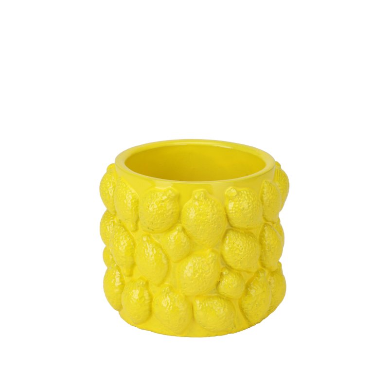 Žlutý květním váza lemon